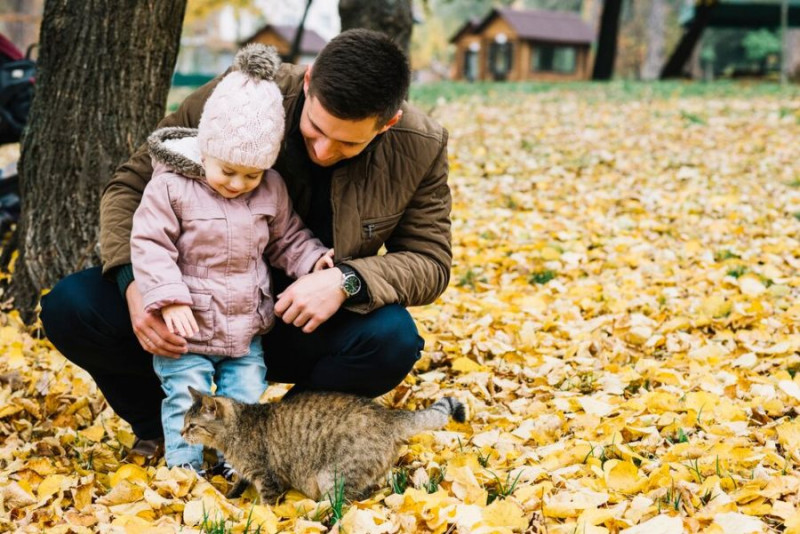 zdjęcie wyróżniające Aktywny Rodzic: 33,8 tys. wniosków w województwie śląskim